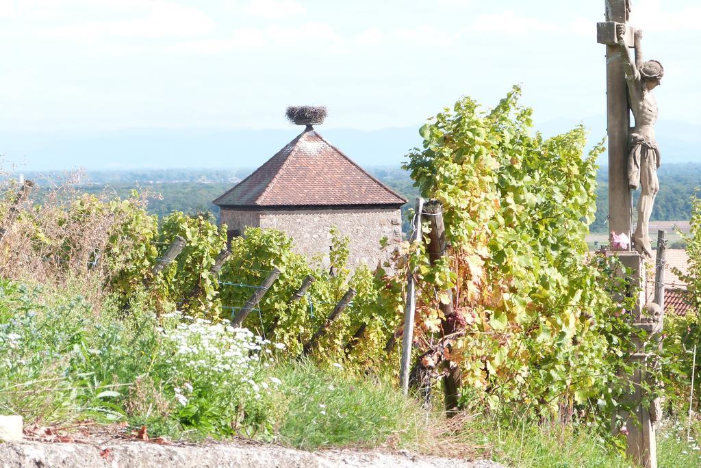 Le P'Tit Coin De Chez Nous Villa Dambach Екстериор снимка