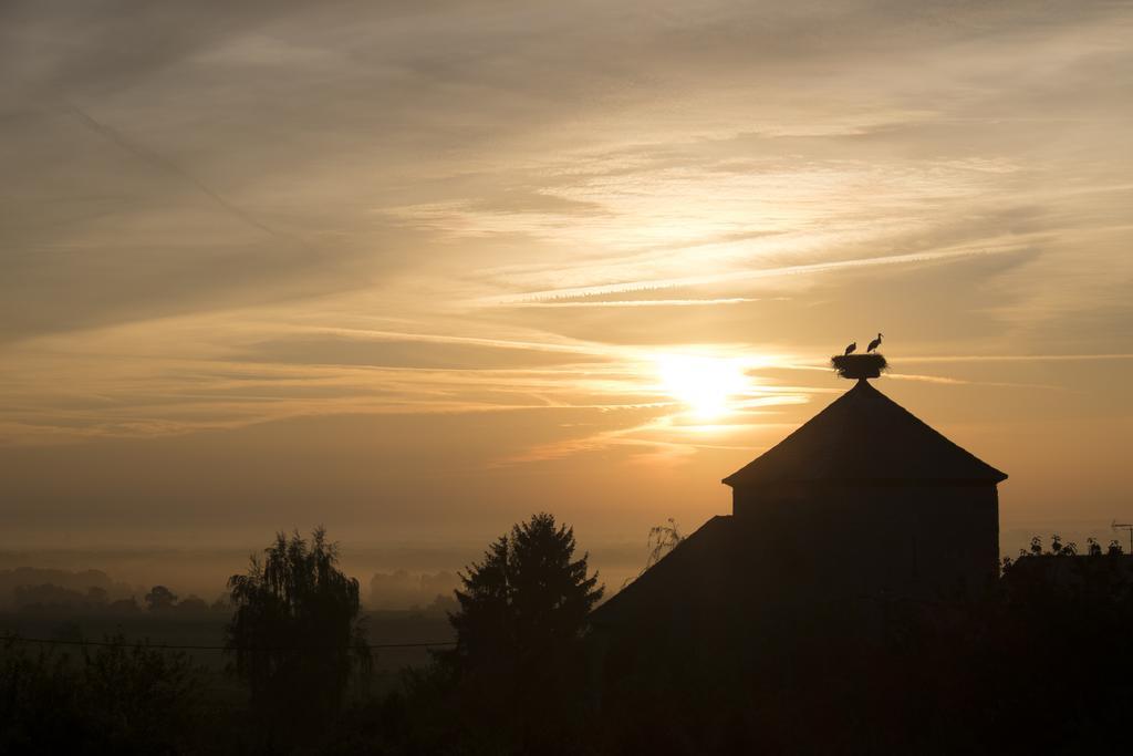 Le P'Tit Coin De Chez Nous Villa Dambach Екстериор снимка